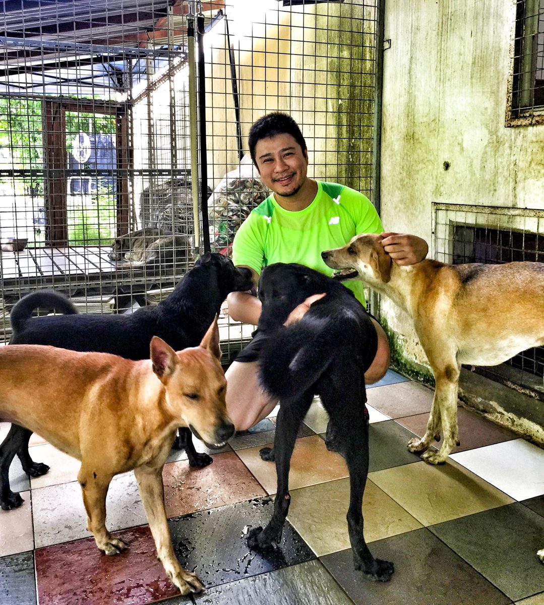 Saving Street Dogs Dr Siew Tuck Wah