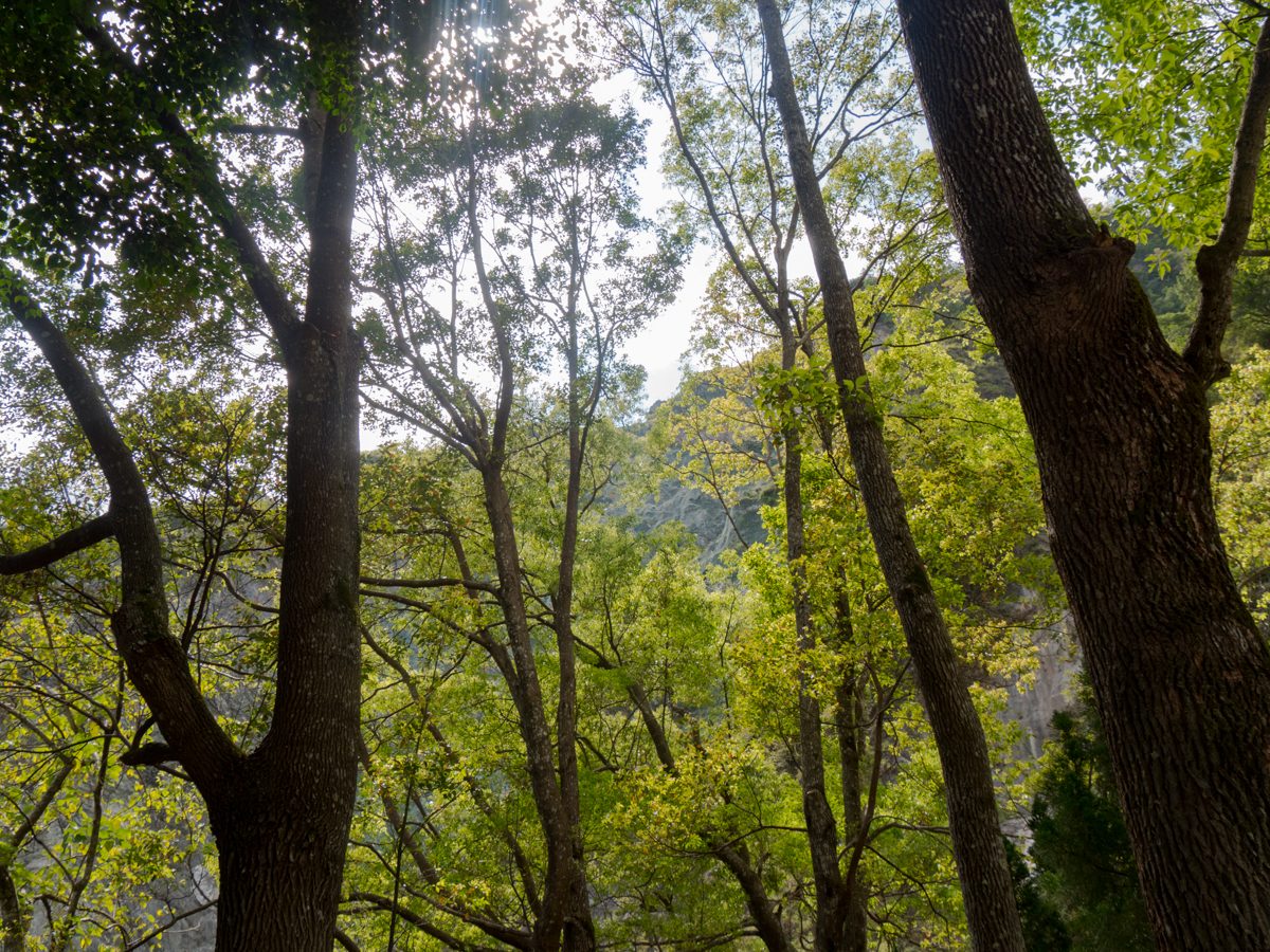 Taroko National Park | Hualien