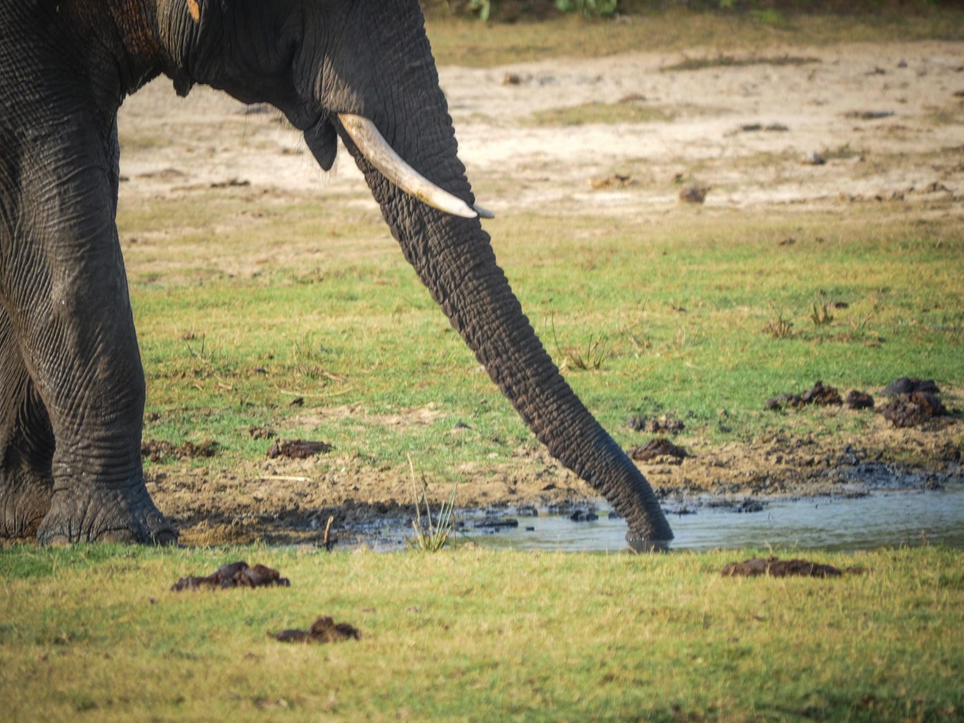 Bundala National Park Safari Sri Lanka