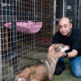 Terry Lim Metta Cats and Dogs Sanctuary Singapore Abused Injured Abandon Animal Shelter -0727